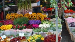 El Mercado de Flores