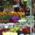 El Mercado de Flores