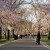 Riverside Park