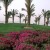 Parque Al-Azhar
