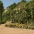 Los jardines de Costa i Llobera